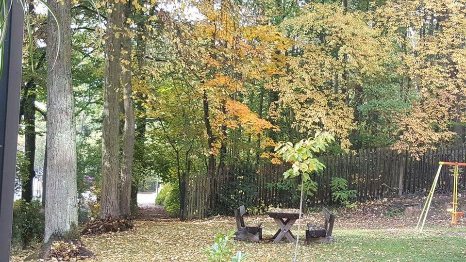 Parkhotel Zirndorf Buitenkant foto