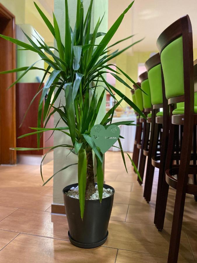 Parkhotel Zirndorf Buitenkant foto